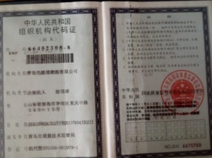 组织机构代码证
